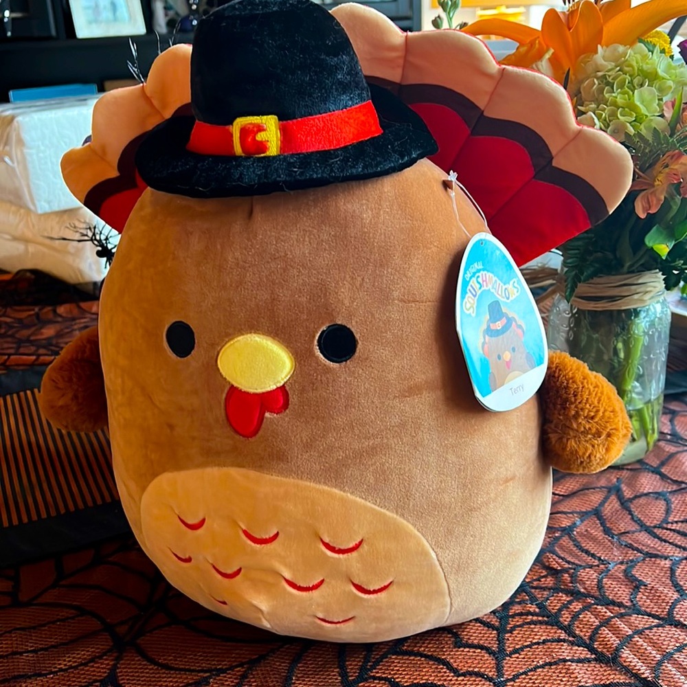 Terry the Thanksgiving squishmallow